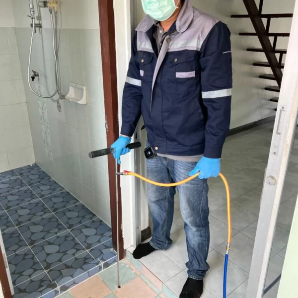 S__5259384_0-768x1024