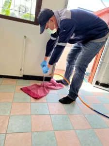 S__5259387_0-768x1024