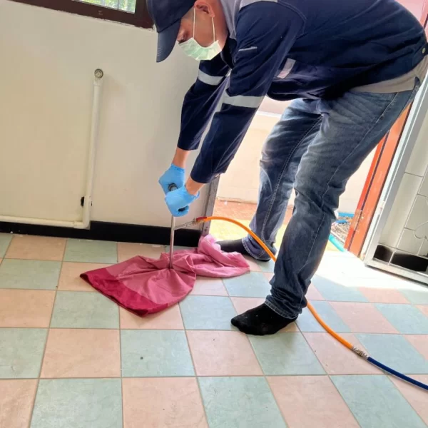 S__5259387_0-768x1024