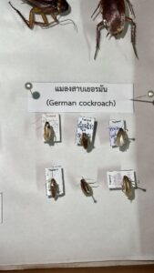 649692013_1238205668442744_3082108195513555682_n