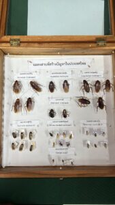 649739128_1238205631776081_7870488119644928482_n